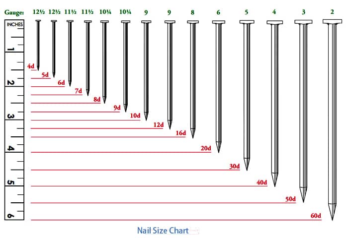 Tableau des tailles d'ongles